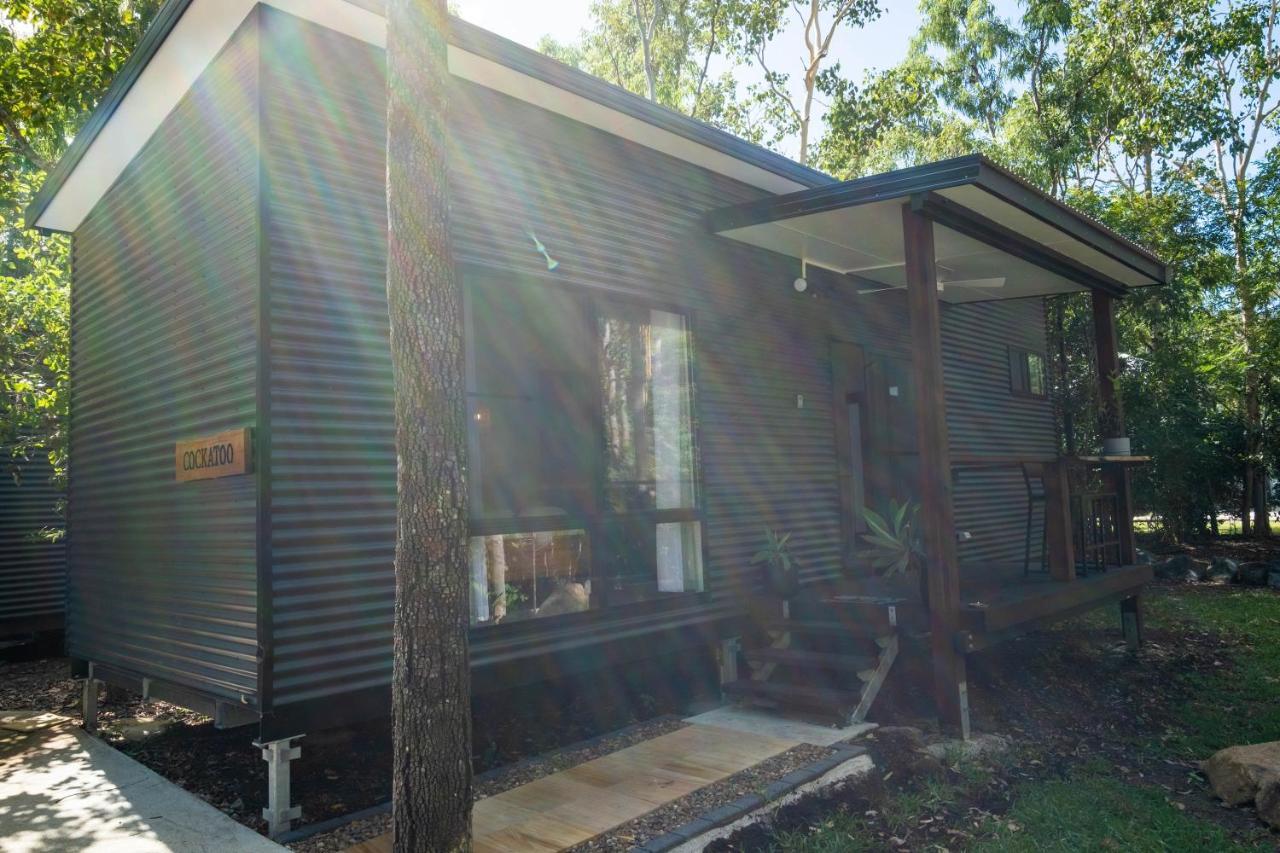 Airlie Beach Eco Cabins - Adults Only Eksteriør billede