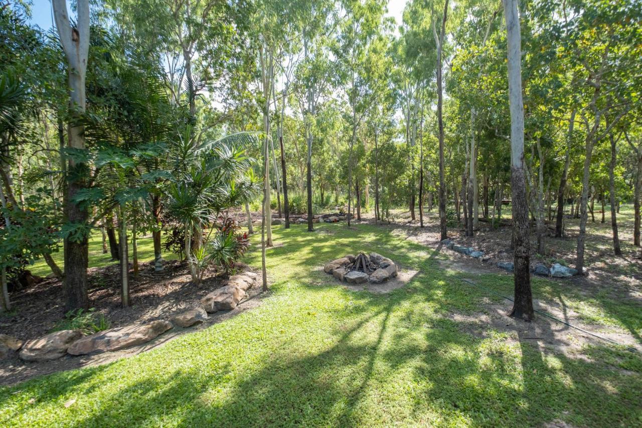 Airlie Beach Eco Cabins - Adults Only Eksteriør billede