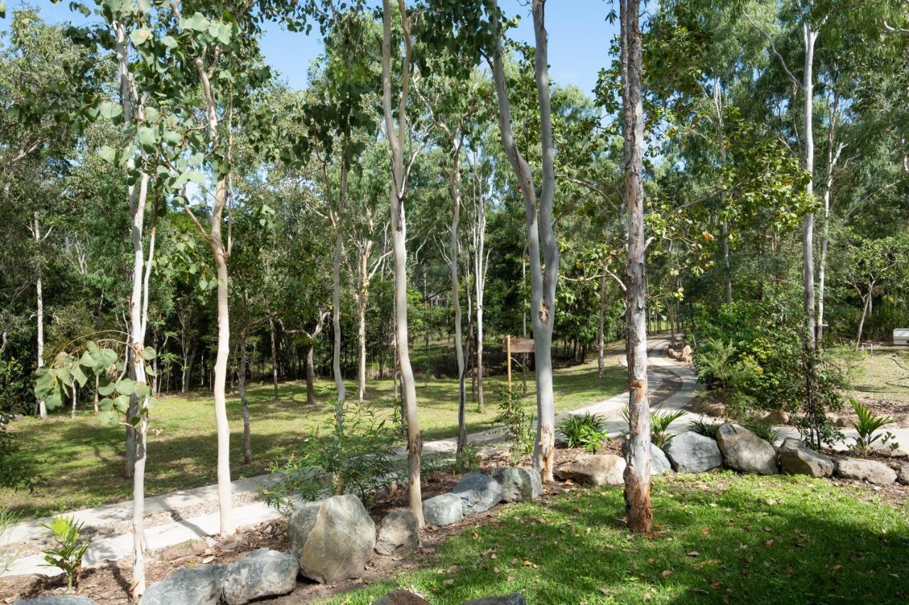Airlie Beach Eco Cabins - Adults Only Eksteriør billede