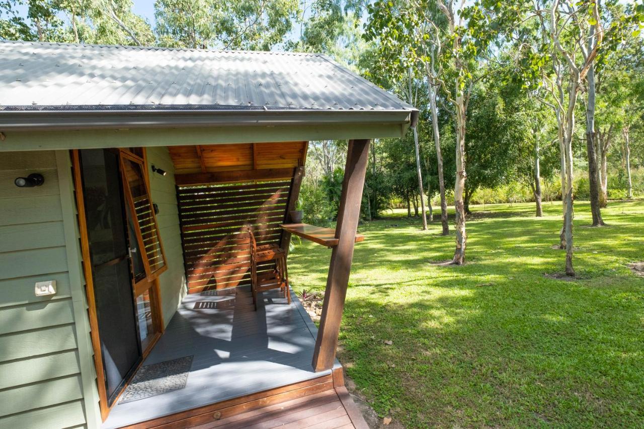 Airlie Beach Eco Cabins - Adults Only Eksteriør billede
