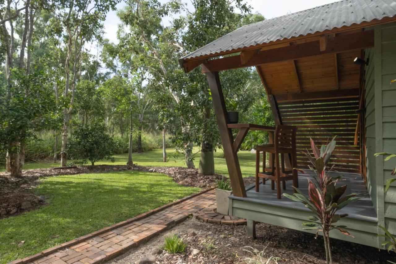 Airlie Beach Eco Cabins - Adults Only Eksteriør billede