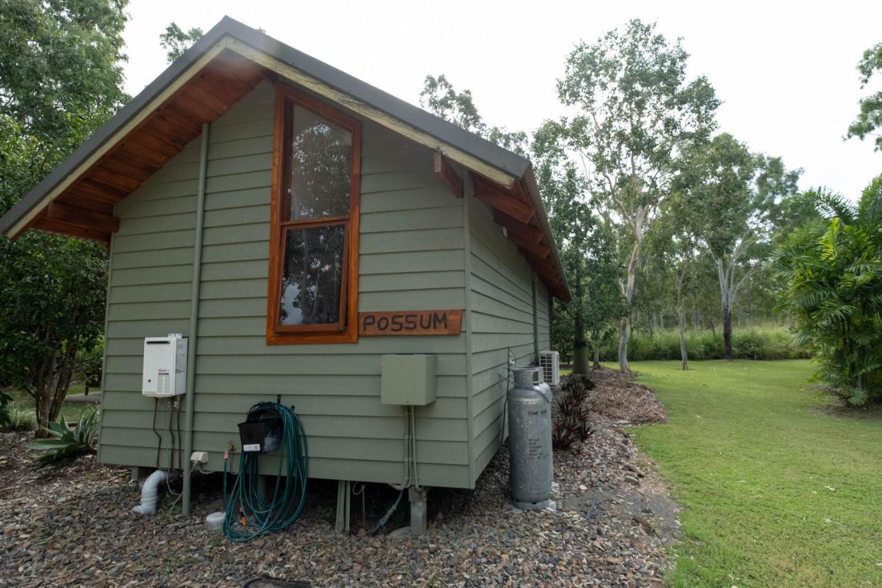 Airlie Beach Eco Cabins - Adults Only Eksteriør billede