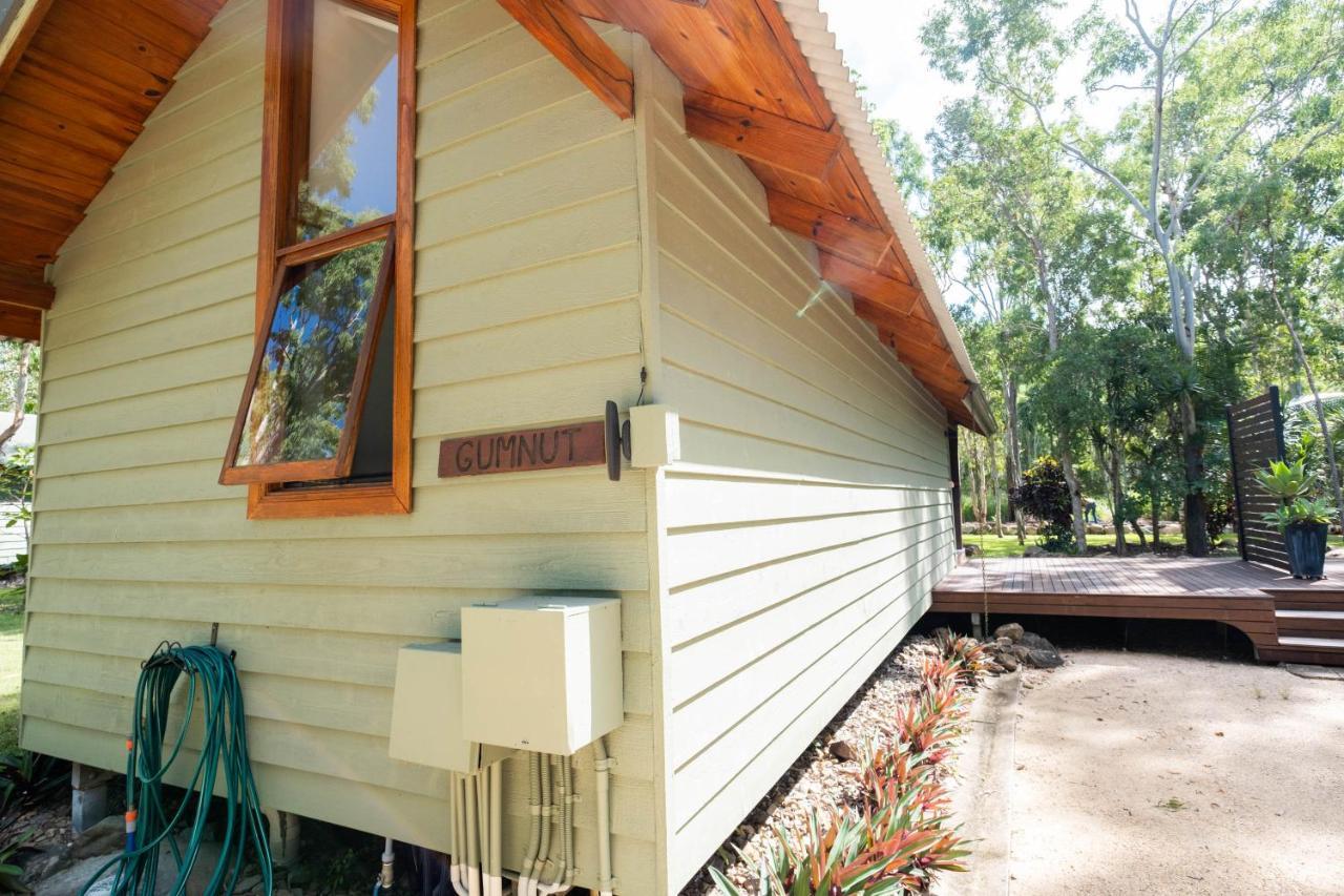 Airlie Beach Eco Cabins - Adults Only Eksteriør billede
